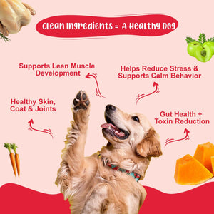 Chicken & Veggies Dog Food Trial Pack (Chicken Rice & Veggies | Chicken Pumpkin) 3+3