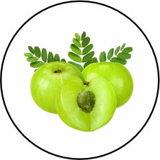Amla (Strenginen immune Response)