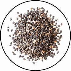 Chia Seed (Omega 3 Fatty Acid)