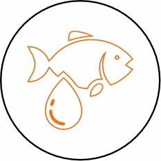 Fish Oil (Omega 3 & 6)