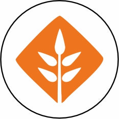 Beta Glucan (Immune Support)