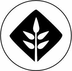 Beta Glucan supports a strong immune system