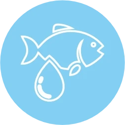 Omega 3 & 6 Anti Inflammatory