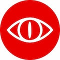 Vision