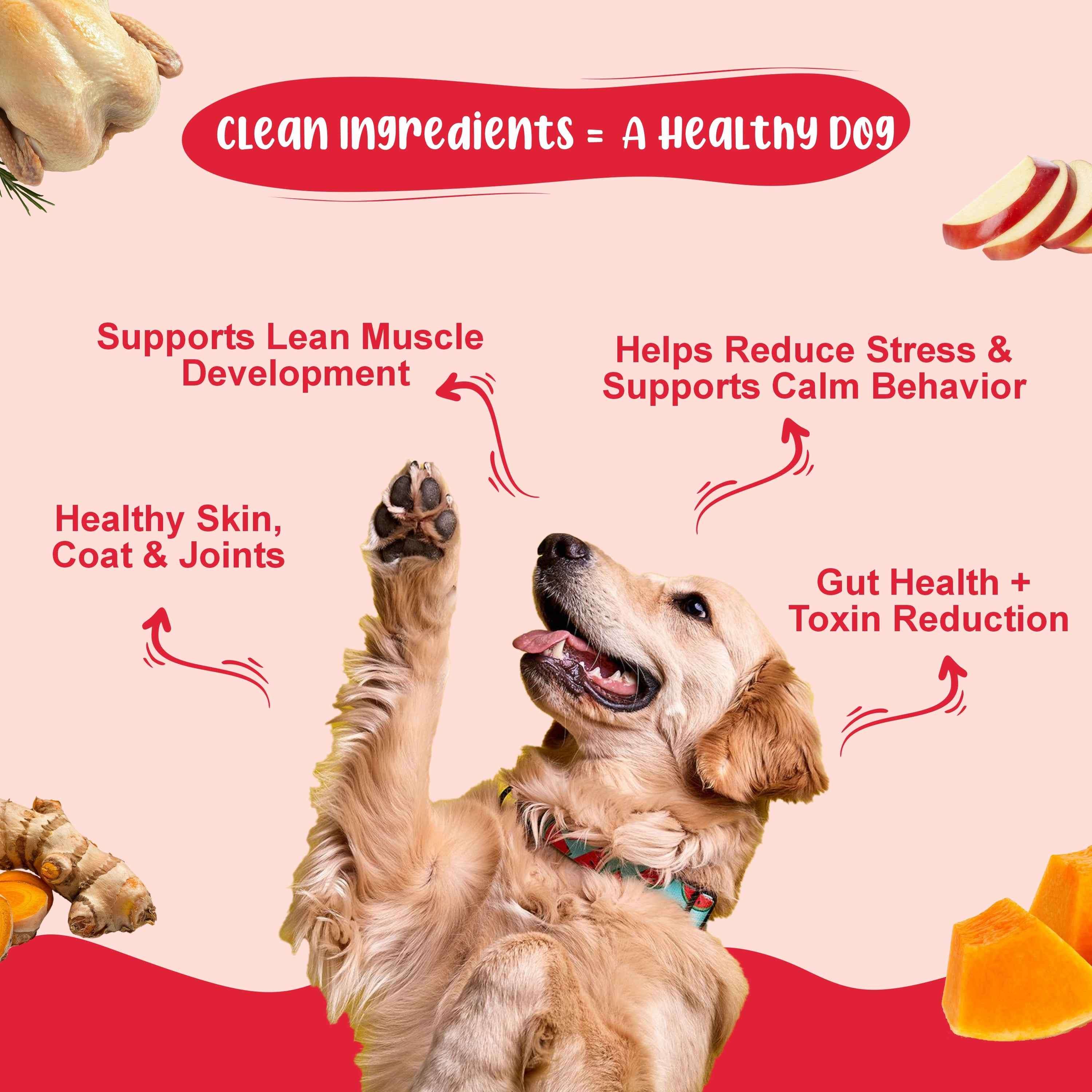 Gut & Joint Wellness Dog Food Trial Pack (Gut Guard+ | K9 Immune | K9 Joint Care) 2+2+2