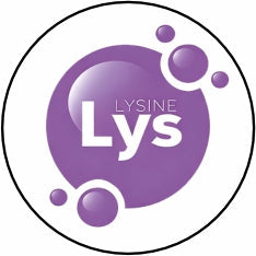 LYSINE (Helps Build Strong Muscles & Immunity)