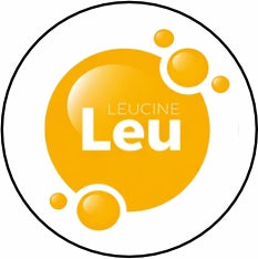 LEUCINE (Helps Maintain Lean Muscle Mass)