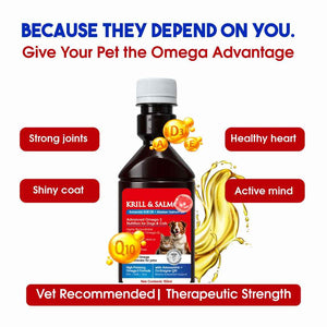 KRILL & SALMON™ High-Potency Omega-3 for Dogs & Cats – Antarctic Krill Oil + Wild Alaskan Salmon Oil