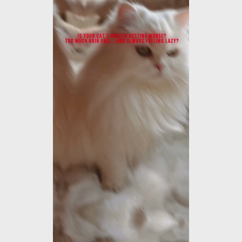 Wuuff&Meow GimCat Multi-Vitamin Paste for Cats Daily Vitality & Immune Support