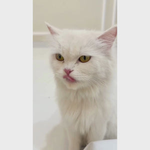 Wuuff&Meow GimCat Taurine Extra Paste for Cats | Supports Heart Health, Vision & Vitality