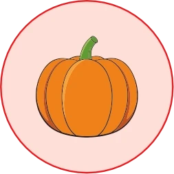 Pumpkin — Natural Digestive Regulation