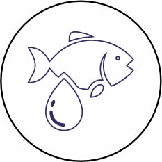 Fish Oil (Omega 3 & 6)