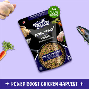 Super Feast+ Multi-Layer Superfood Functional Fresh Dog Food
