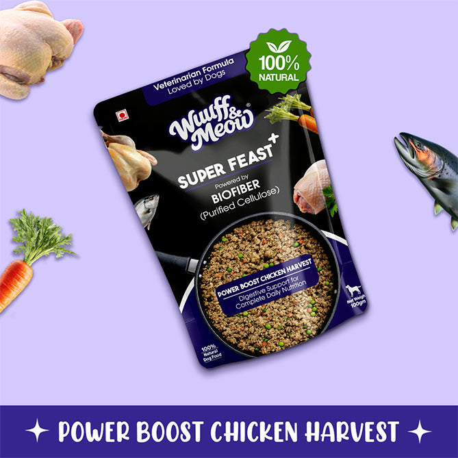 Super Feast+ Multi-Layer Superfood Functional Fresh Dog Food